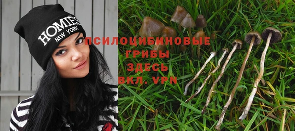 спайс Алексеевка