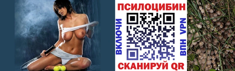 Галлюциногенные грибы Cubensis hydra зеркало Жиздра